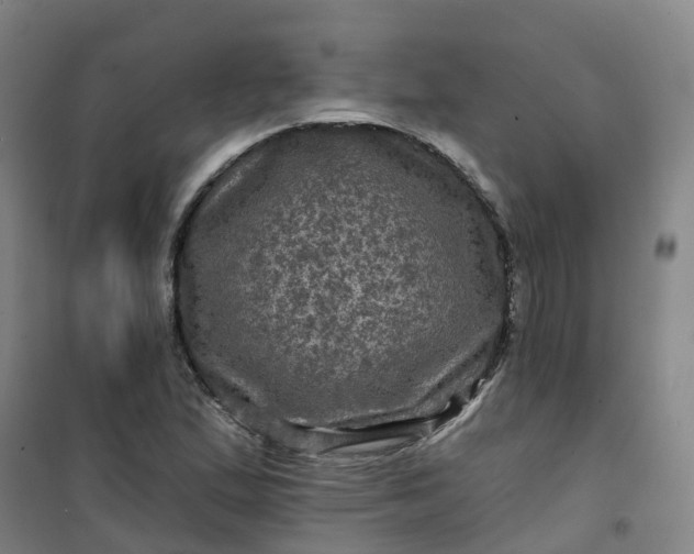 X0000101091167200807101542