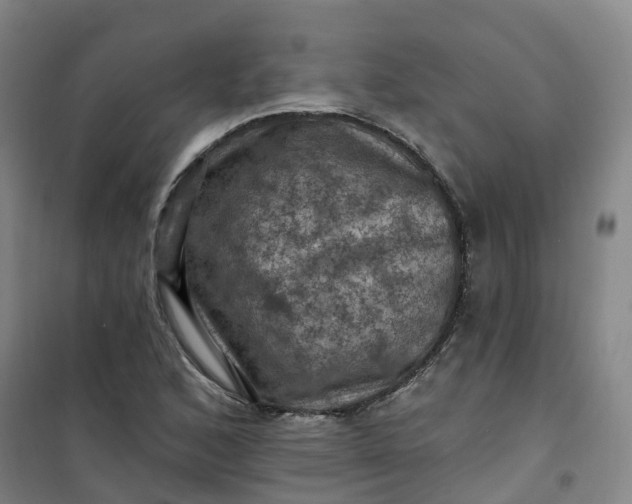 X0000101091168200807101542