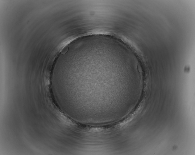 X0000101091169200807101541