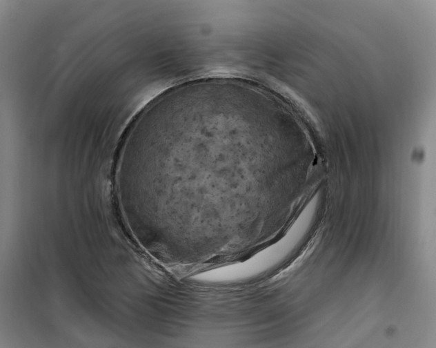 X0000101091170200807101541