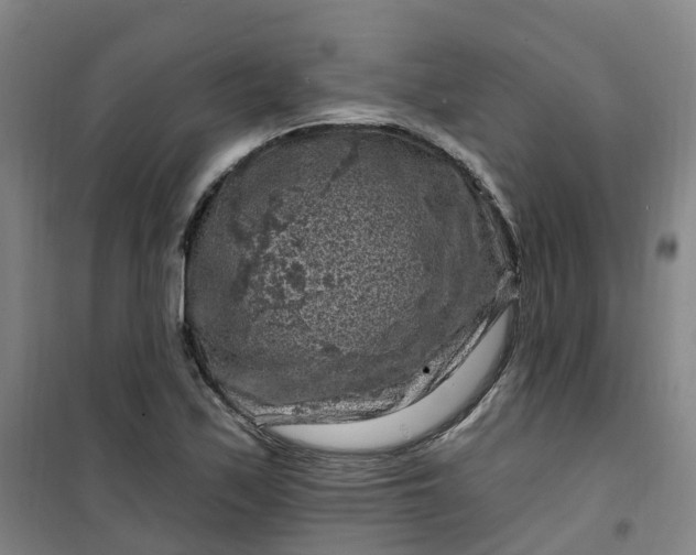 X0000101091171200807101541