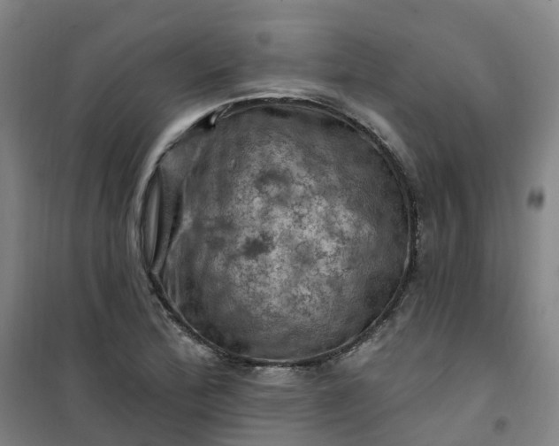 X0000101091172200807101541