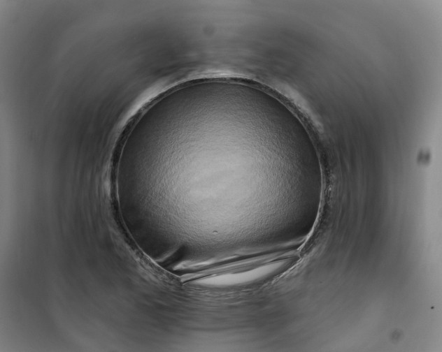 X0000101091173200807101541