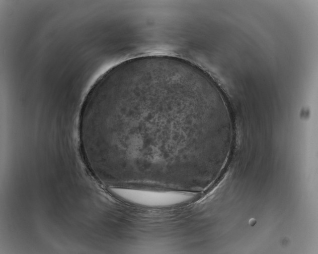 X0000101091174200807101541