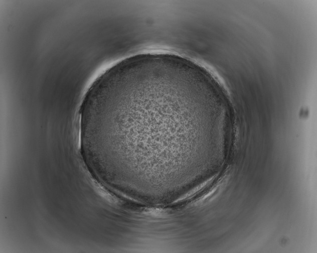 X0000101091175200807101541