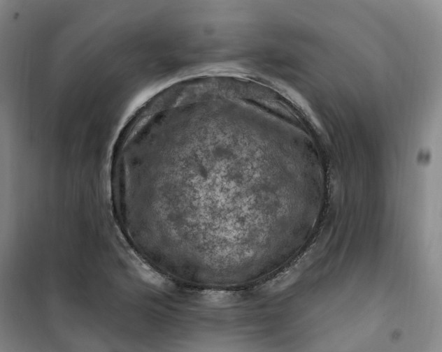 X0000101091176200807101541