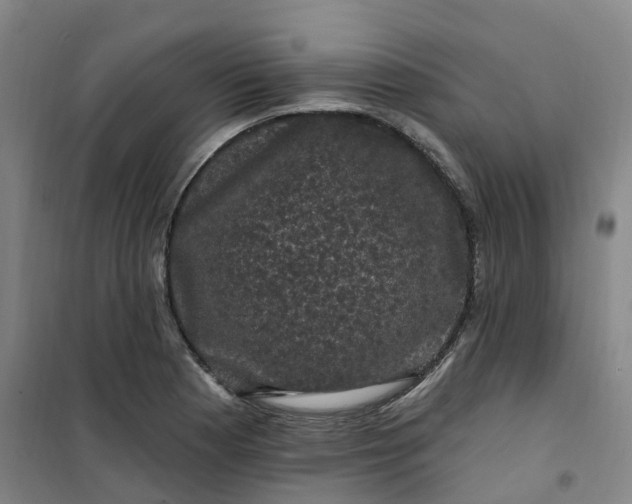 X0000101091177200807101541