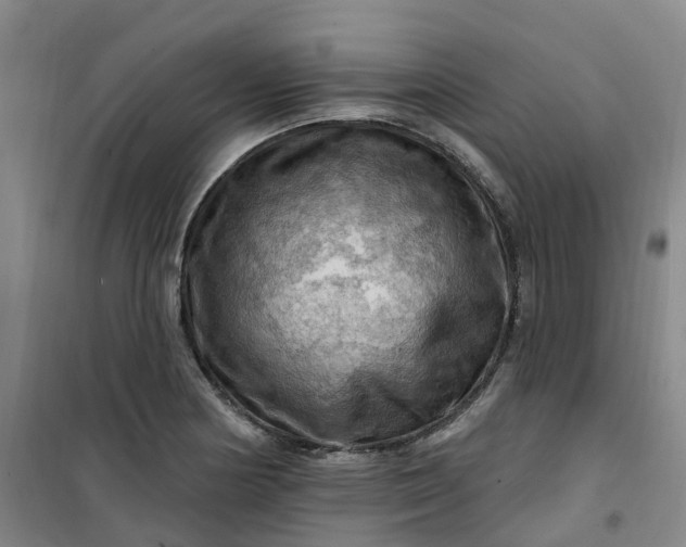 X0000101091178200807101541