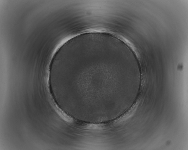 X0000101091179200807101541