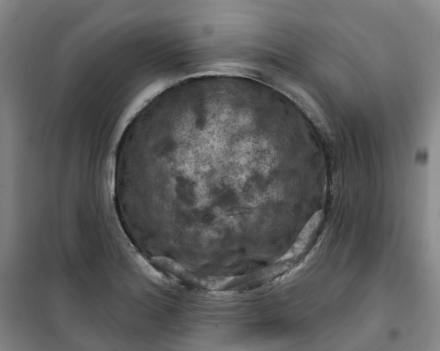 X0000101091180200807101541