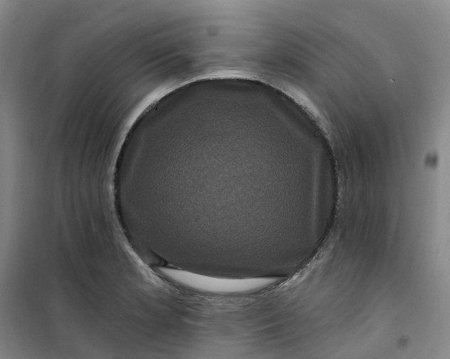 X0000101091181200807101541