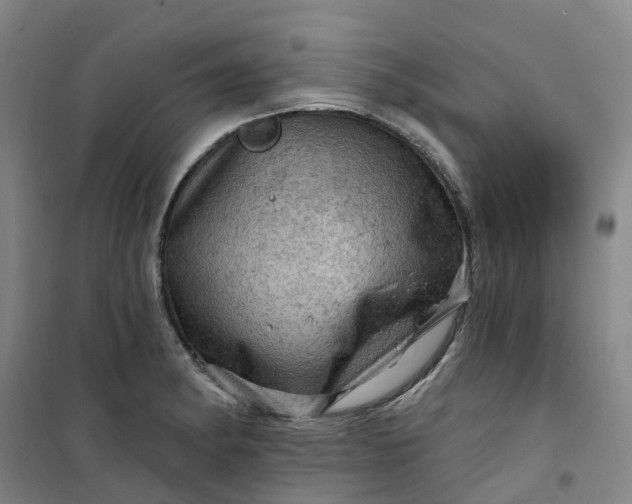 X0000101091182200807101541