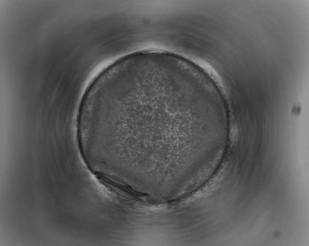 X0000101091183200807101541