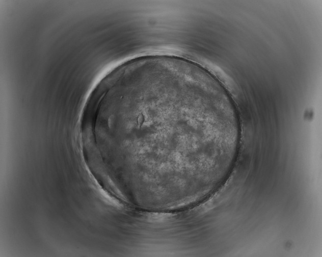 X0000101091184200807101541