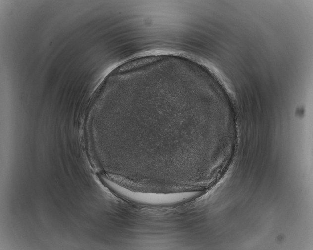 X0000101091185200807101541