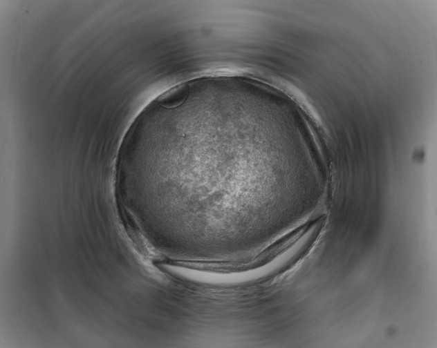 X0000101091186200807101541