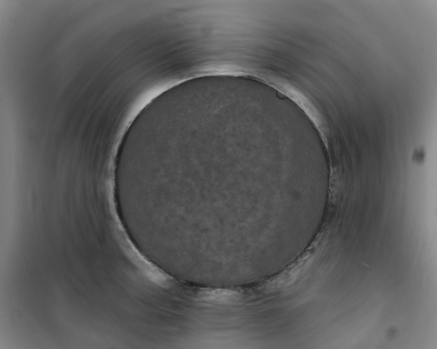 X0000101091187200807101541