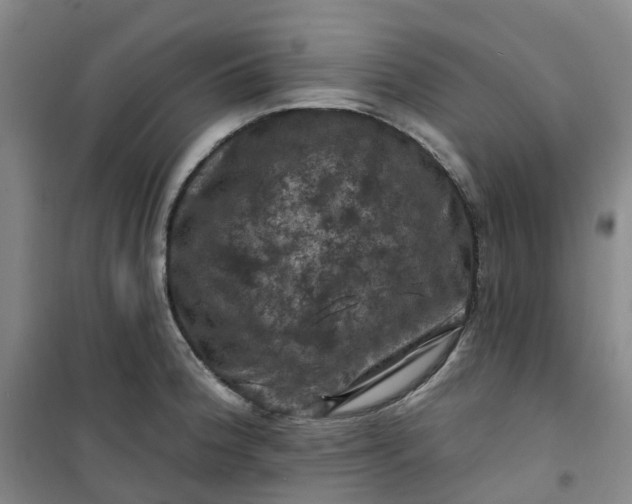 X0000101091188200807101541