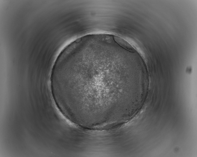 X0000101091189200807101541