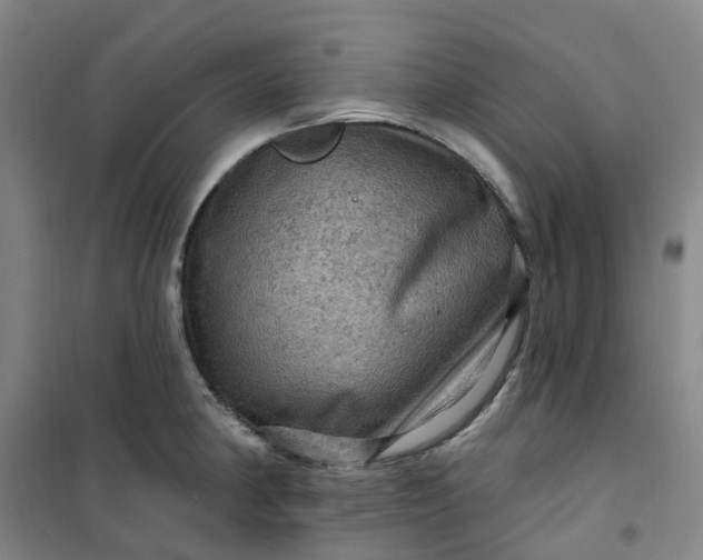 X0000101091190200807101541