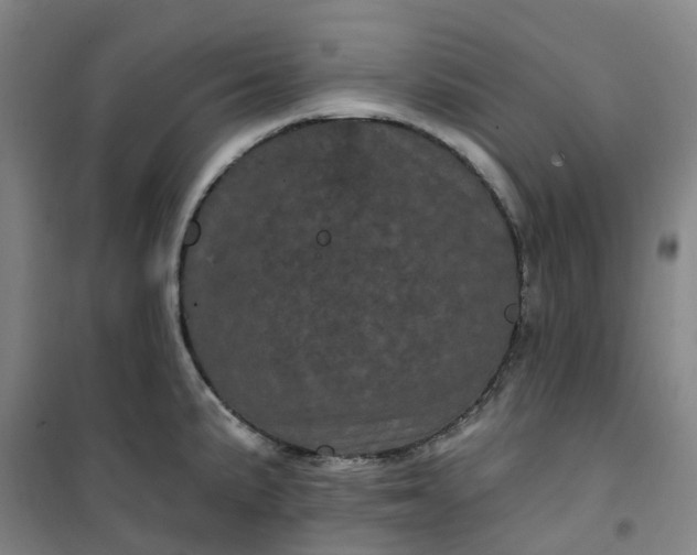 X0000101091191200807101541