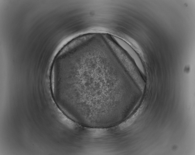 X0000101091192200807101541