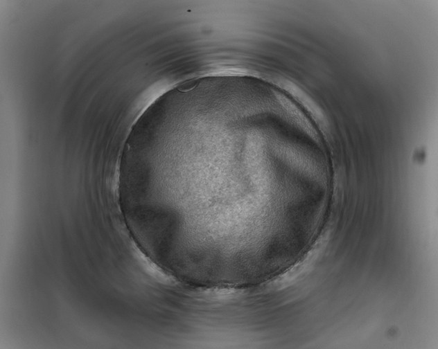 X0000101091193200807101541