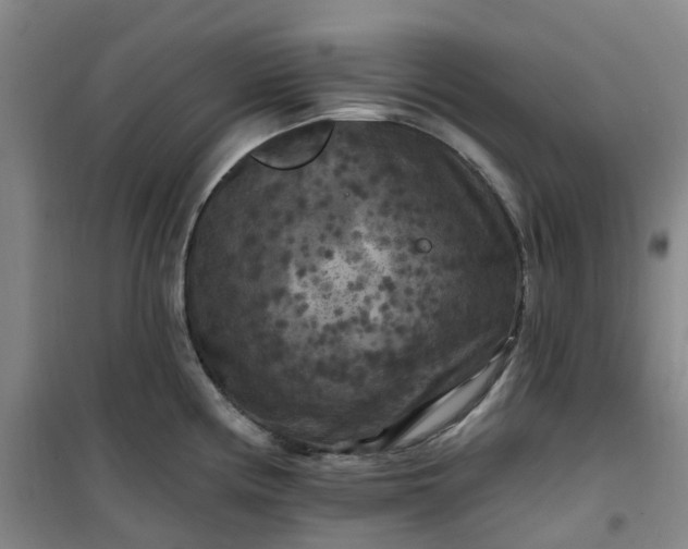 X0000101091194200807101541