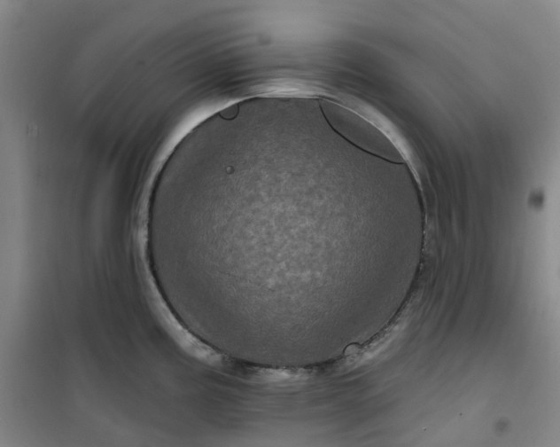 X0000101091195200807101541