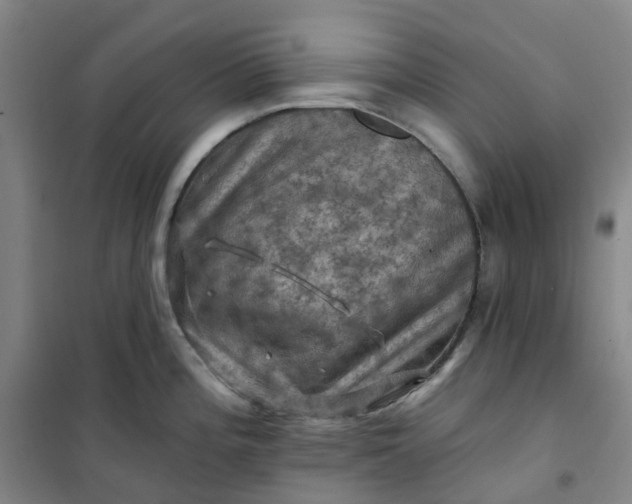 X0000101091196200807101541