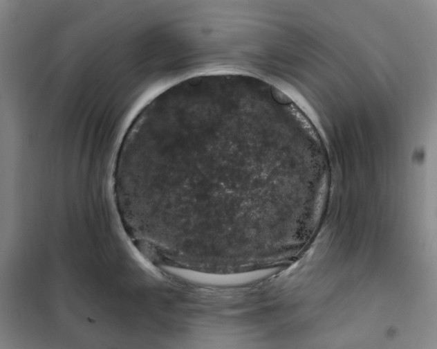 X0000101091197200807101541