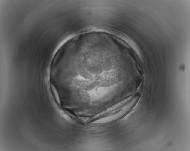 X0000101091198200807101541