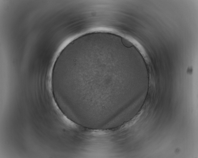 X0000101091199200807101541