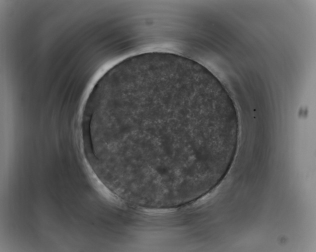 X0000101091200200807101541