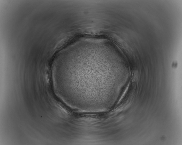 X0000101091202200807101540