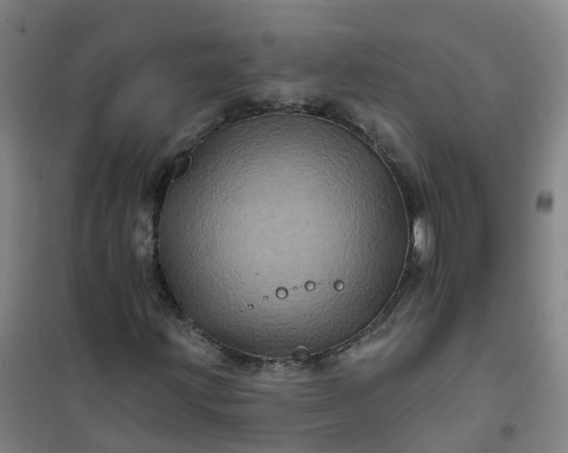 X0000101091203200807101540