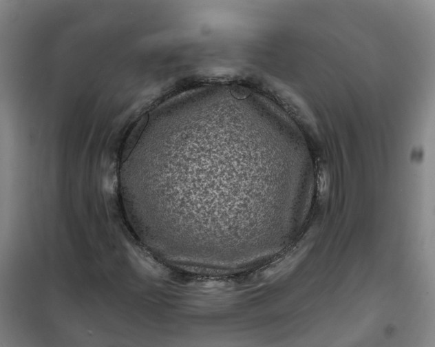 X0000101091204200807101540