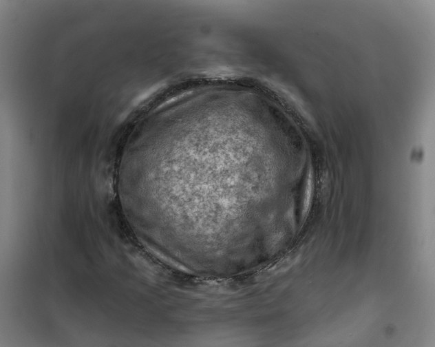 X0000101091205200807101540