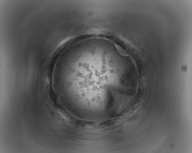 X0000101091206200807101540