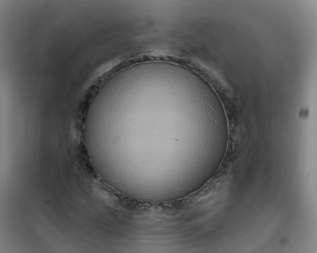 X0000101091207200807101540