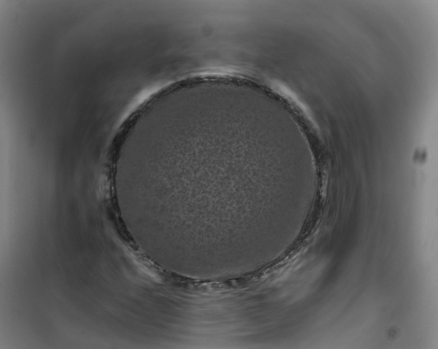 X0000101091208200807101540