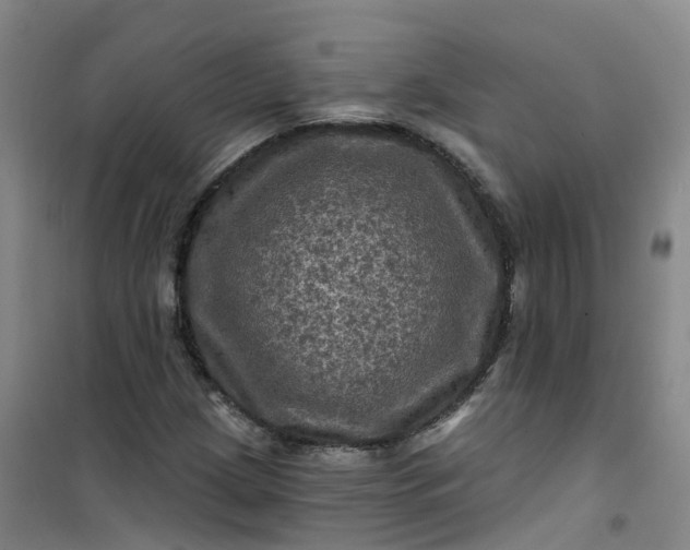 X0000101091209200807101540