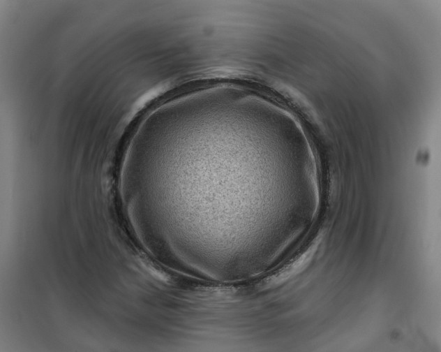 X0000101091210200807101540