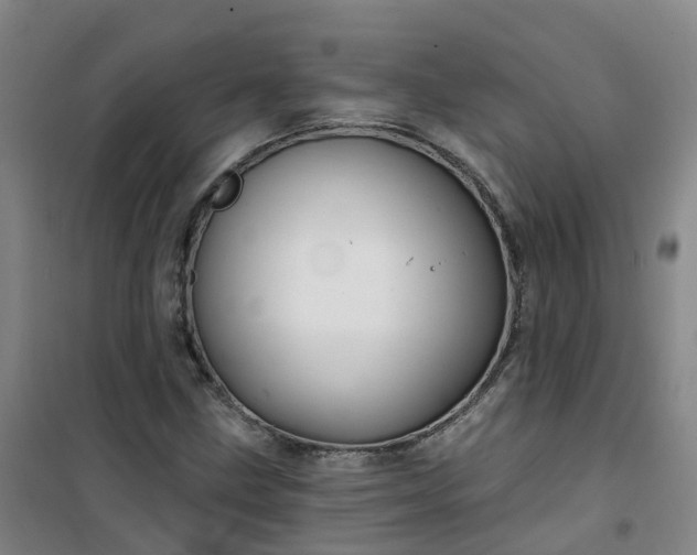 X0000101091211200807101540