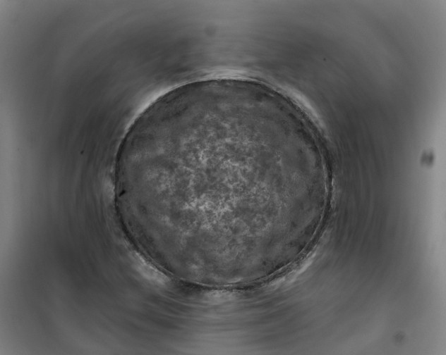 X0000101091212200807101541