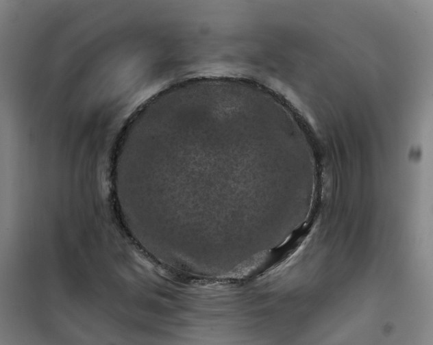 X0000101091213200807101541