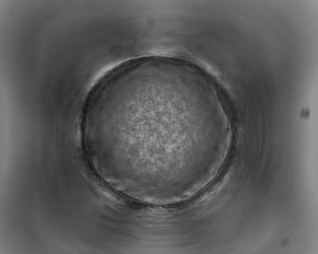 X0000101091214200807101541