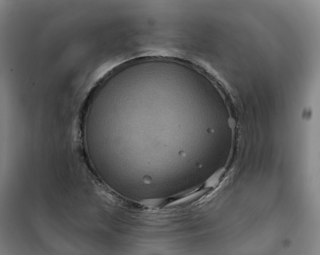 X0000101091215200807101541