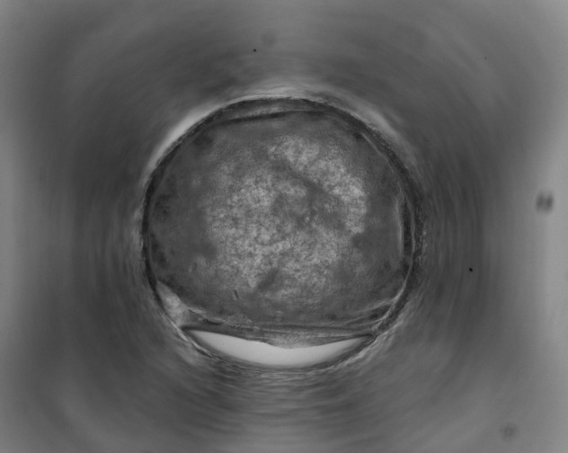 X0000101091216200807101541