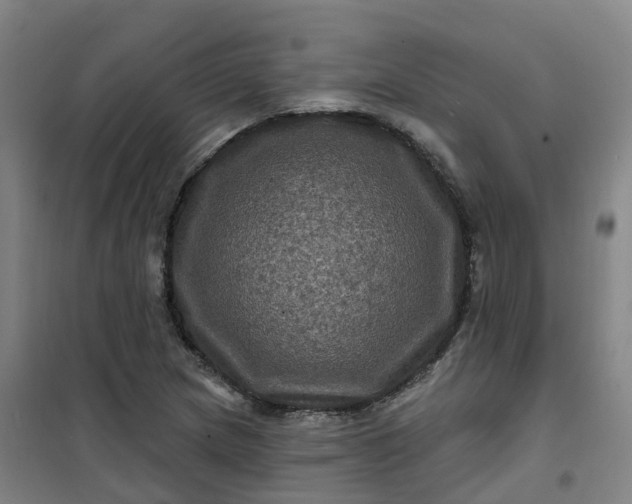 X0000101091217200807101541